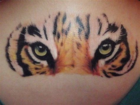 60 Best Tiger Eye Tattoos And Designs With Meanings