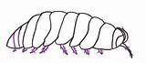 Bug Pill Drawing Sketch Simple Draw Paintingvalley Pillbug Roly sketch template