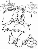 Elephant Pages Coloring Color Circus Kids Elephants Dkidspage Printable Baby sketch template