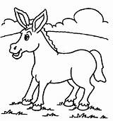 Donkey Coloring Printable Pages Color Kids Animal sketch template