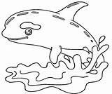 Whale Malowanki Dzieci Kleurplaat Kolorowanki Colorear Kolorowanka Ballena Orki Asesina Dolfinarium Orques Delfina Peque Mamydzieci Możecie Coloringfolder sketch template