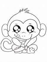 Coloring Monkeys Children Kids Pages Color Animals Printable sketch template