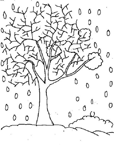 winter tree coloring page approved winter tree coloring page pages