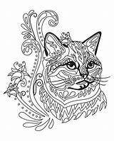 Antistress Mandala Buntes Katzen Dekoratives sketch template