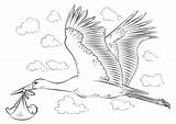 Storch Ausmalbild Stork Ooievaar Kleurplaat Maguari Supercoloring Storks Kategorien Designlooter Malbilder sketch template