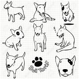 Terrier Bull Drawing Vector Tattoo Bullterrier Dog Line Perros English Mini Paper Terriers Dibujos Getdrawings Greyhound Italian Funny Illustration Staffy sketch template