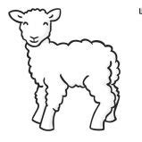 spring lamb coloring page coloring sky