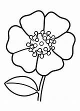 Blumen Malvorlagen sketch template