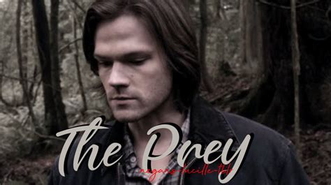 Is It A Kinky Thing Sam Winchester — The Prey