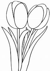 Coloring Tulip Pages Flower Single Printable Tulips Color Print Kids Getdrawings Clipartbest Getcolorings Yellow Drawing sketch template