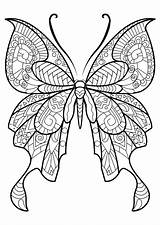 Coloring Butterfly Pages Realistic Printable Color Getcolorings Print Colorings sketch template