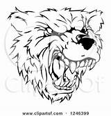 Bear Clipart Head Vicious Vector Roaring Illustration Royalty Aggressive Mascot Muscular Atstockillustration sketch template