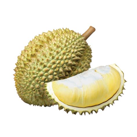 durian vinh agriculture