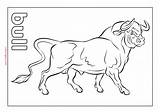Bull Riding sketch template