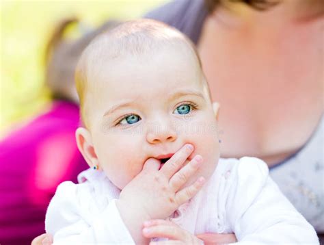 adorable baby stock image image  insurance expression