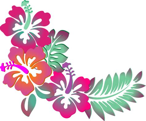 hibiscus logo clipart