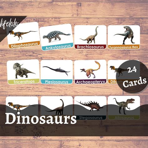dinosaurs  flash cards nomenclature cards montessori materials