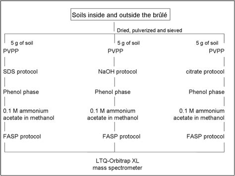 schematic representation   protein extraction methods