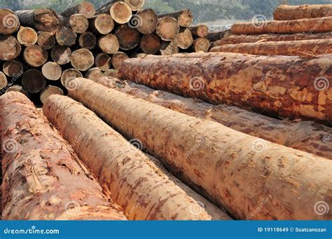 logs stock image image  construction tree industry