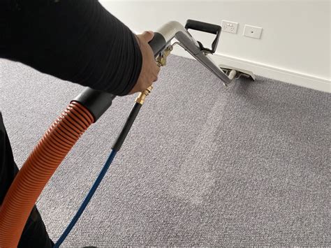 smart hacks  remove pet urine stains odour   carpet