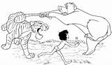 Mowgli Shere Kaa Ausmalbilder Baloo Mogli Schlange Colouring Dschungelbuch Library Selva Fighting Malvorlage Colorare Libro Kinder Dschungel Papan Pilih Bagira sketch template