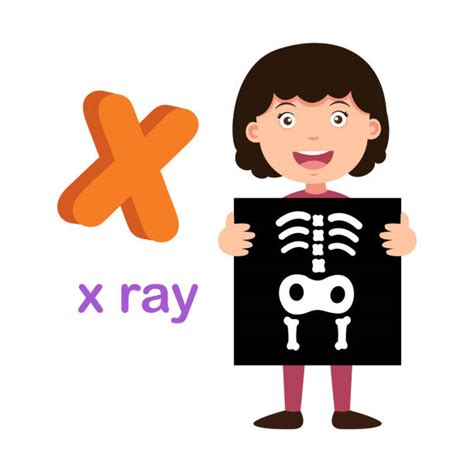 clipart xray   cliparts  images  clipground