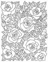 Coloring Pages Floral Cherry Tree Blossom Adults Adult Book Cafe Printable Rose Getcolorings Getdrawings Colouring Flowers Roses Color Books Garden sketch template