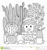 Coloring Cactus Cute Vector Contour Linear Scribble Background Book Fo Adults Antistress Meditation sketch template