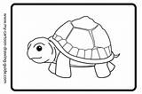 Tortoise Tortue Coloriage Coloriages Animaux Colorier sketch template
