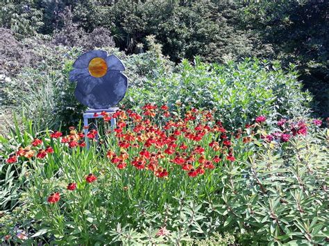 borde hill gardens open from march steyning cottages west sussex