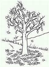 Coloring Hill Fall Leaf Pages Tree Adults Colorir Para Designlooter Arvores Desenhos Color 47kb Maple sketch template