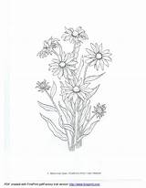 Dover Botany sketch template