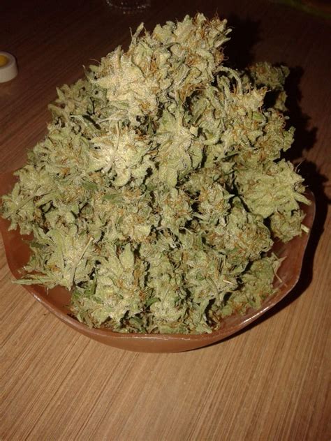 Londonweed Net – Top London And Uk And Ireland And Scotland