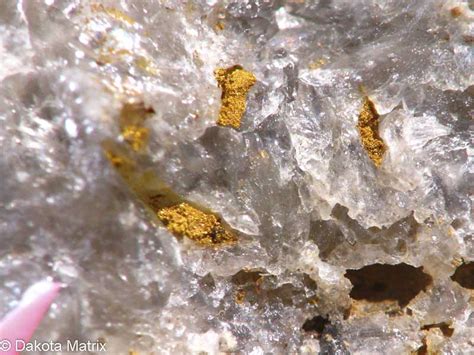 gold mineral specimens  sale