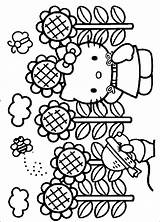 Kitty Hello Coloring Pages Sunflower Printable Spring Color Print Hellokitty Fall Sheets Fanpop Clipart Kids Book Library Japan sketch template