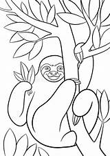 Sloth Perezoso sketch template