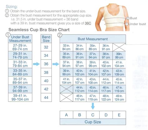 bra size conversion chart usa hot sex picture