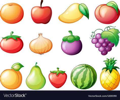 kinds  fruits royalty  vector image