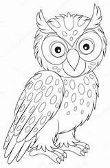 Eared Owls Colouring Designlooter Illustrations Eule Istock Eulen sketch template