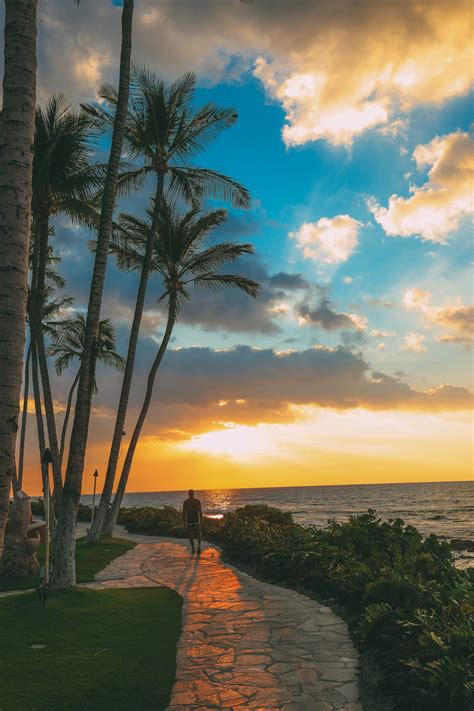amazing view  maui   big island  hawaii hand luggage