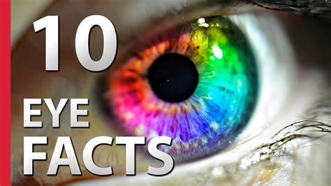 10 crazy facts about human eyes doovi