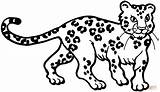 Leopard Leopardo sketch template