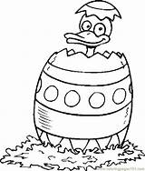 Duck Easter Coloring Pages Egg Template Getdrawings Library Clipart Getcolorings sketch template