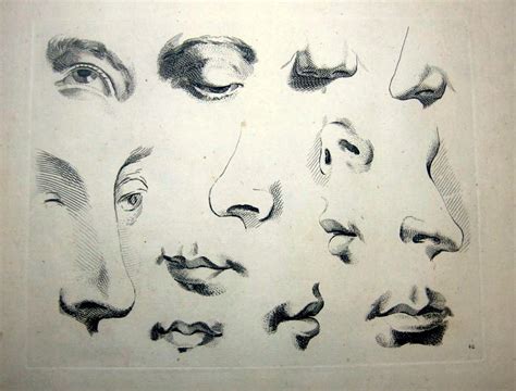 figure drawing   draw eyes nose ears  mouths