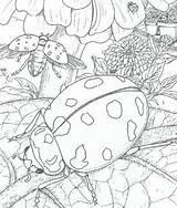 Natuur Kleurplaat Kleurplaten Natur Volwassenen Ums Rondom Coloriage Malvorlagen Zomer Ladybug Downloaden Coccinelle Cliquer Dididou Depuis Laissant Doigt Souris Fermer sketch template