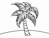 Palm Coloring Tree Pages Colorear Sunday Coloringcrew Book Color Getcolorings Clipartmag Drawings sketch template