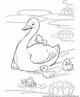 Coloring Pages Farm Animal Duck Ducks Animals Pond Printable Kids Print Sheet Honkingdonkey sketch template