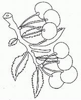 Cerezas Cirese Cerise Colorat Cerises Desene Groente Animaatjes Siguiente sketch template