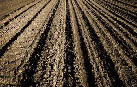 pregon agropecuario todos los usos de suelos pampeanos en  nuevo mapa de la fauba suelos