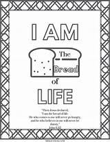 Bread sketch template